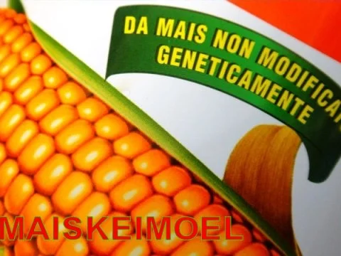 Soffritto-Risotto mit Zucchiniblueten - Rezept - Bild Nr. 2