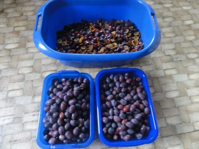 Rezept: Pflaumenmus für alle Pflaumenmus für alle - Rezept