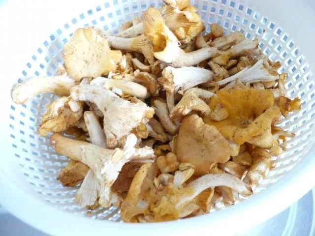 Pfifferlinge mit Rührei - Rezept - Bild Nr. 3