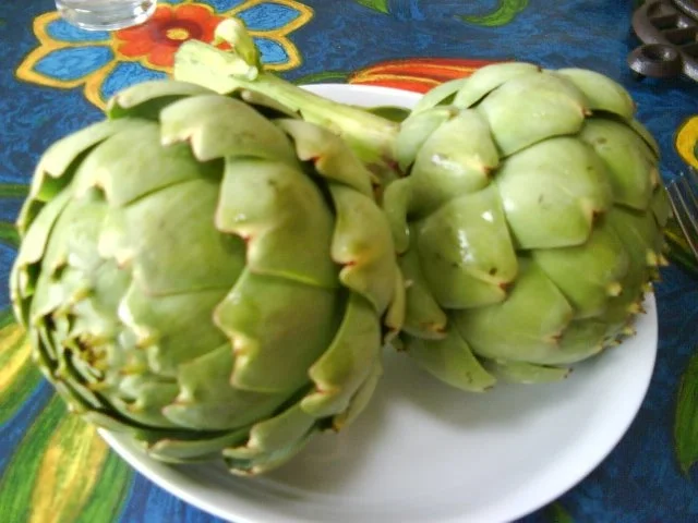 Artischocken Camus de Bretagne - Rezept