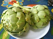 Artischocken Camus de Bretagne - Rezept