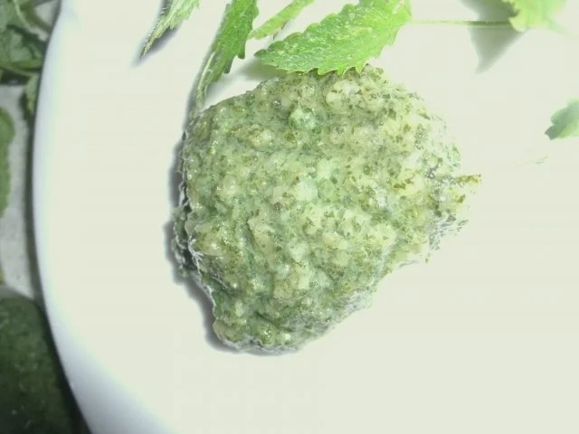 Rezept: Süßes Melissepesto mit Macadamianüssen und Blütensirup Süßes Melissepesto mit Macadamianüssen und Blütensirup - Rezept