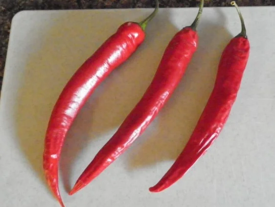 Rezept: Chili - Öl Bild Nr. 2 Chili - Öl - Rezept - Bild Nr. 2