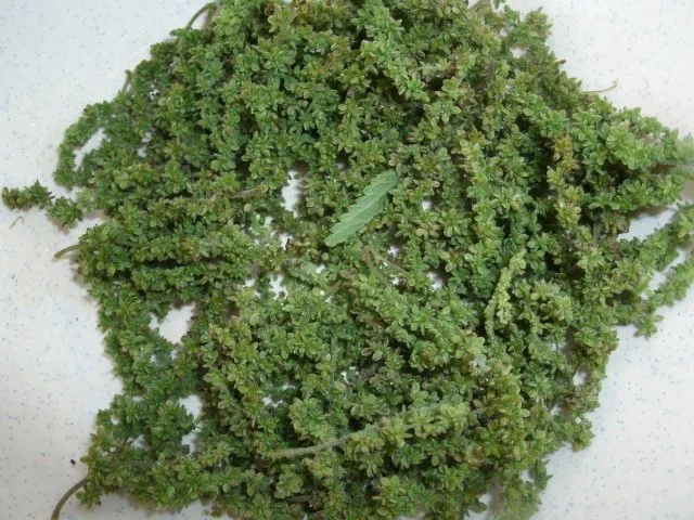 Brennesselsamen- Croutons - Rezept - Bild Nr. 2