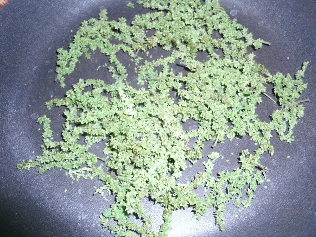 Brennesselsamen- Croutons - Rezept - Bild Nr. 3