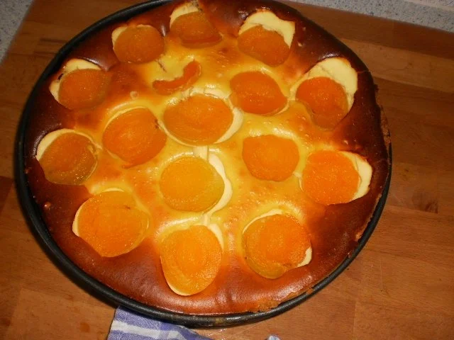 Aprikosen-Mascarponekuchen - Rezept - Bild Nr. 20
