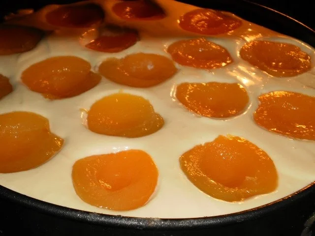 Aprikosen-Mascarponekuchen - Rezept - Bild Nr. 17