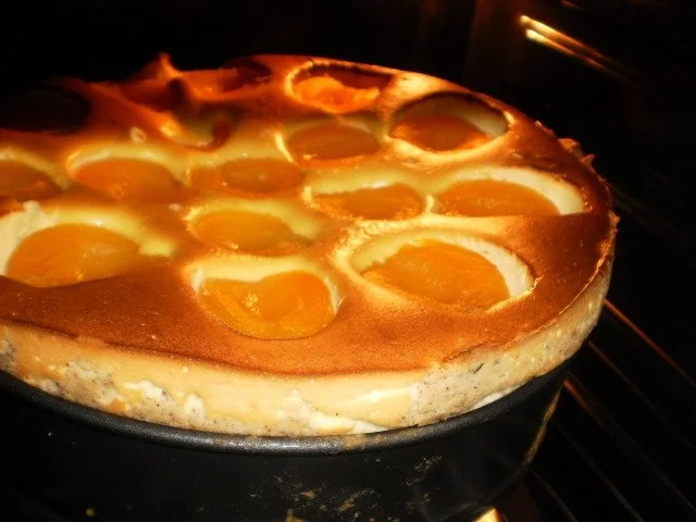 Aprikosen-Mascarponekuchen - Rezept - Bild Nr. 18