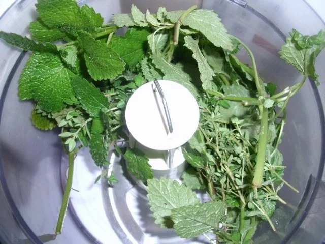 Rezept: Kräuterzucker Zitronenmelisse-Zitronenthymian Bild Nr. 3 Kräuterzucker Zitronenmelisse-Zitronenthymian - Rezept - Bild Nr. 3