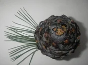 A:  Zirbenschnaps - Rezept