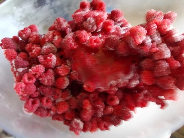 Himbeer-Gellee - Rezept - Bild Nr. 2