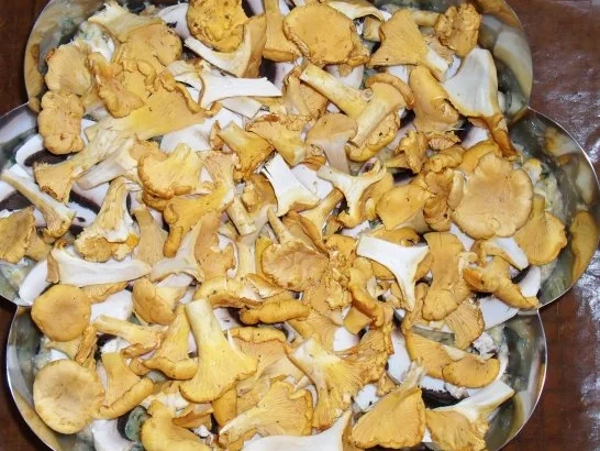 Bayrische Pizza - Rezept - Bild Nr. 4