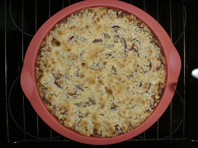 Zwetschgenkuchen mit Streusel auf Quark - Rezept - Bild Nr. 11