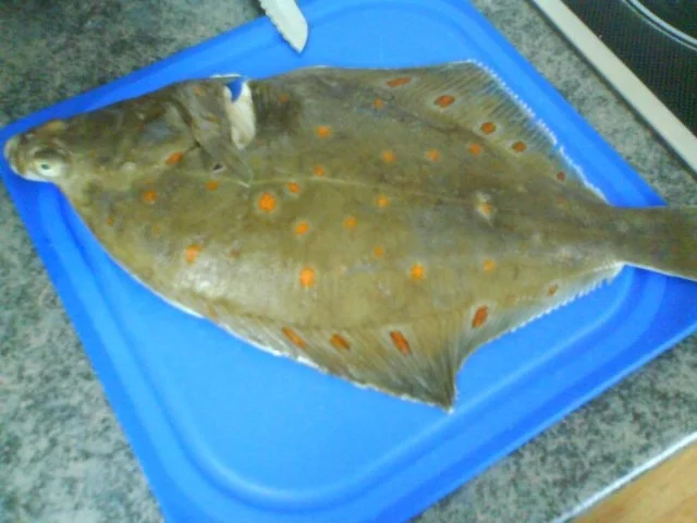 Schollenfilet unter Senf-Nusskruste an Zitronen-Buttergemüse - Rezept - Bild Nr. 3