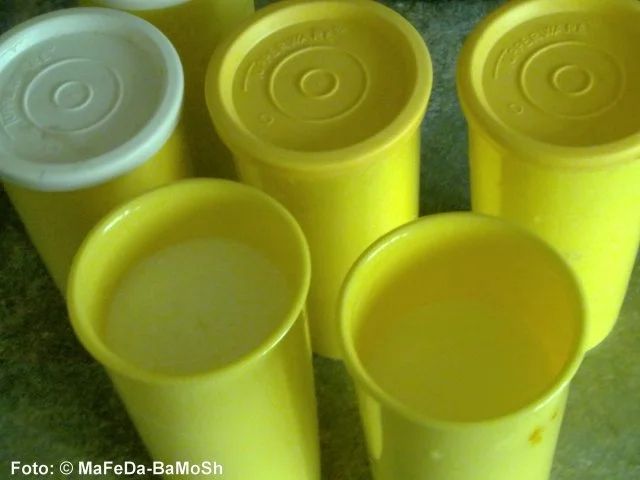 Joghurt (selbstgemacht) - Rezept - Bild Nr. 2