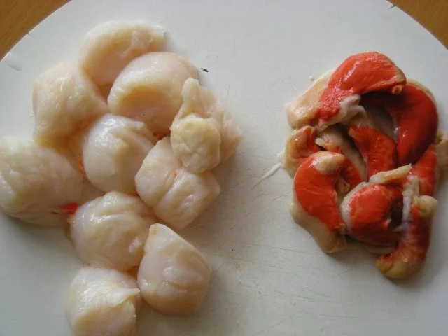 Rezept: Jacobsmuscheln Bild Nr. 3 Jacobsmuscheln - Rezept - Bild Nr. 3