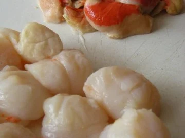 Rezept: Jacobsmuscheln Bild Nr. 6 Jacobsmuscheln - Rezept - Bild Nr. 6