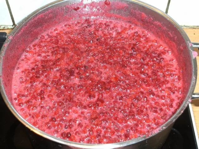 Einmachen: Preiselbeeren einmachen - Rezept - Bild Nr. 5
