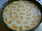 Mandarinen-Quarkkuchen - Rezept