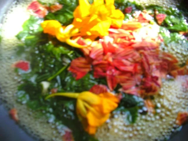 Rezept: zwei Varianten: Kapuzinerkressen-Suppe Bild Nr. 3 zwei Varianten: Kapuzinerkressen-Suppe - Rezept - Bild Nr. 3