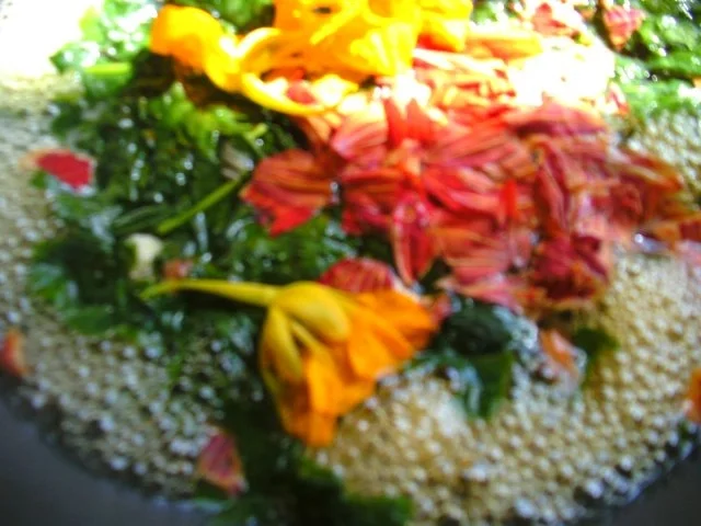 Rezept: zwei Varianten: Kapuzinerkressen-Suppe Bild Nr. 6 zwei Varianten: Kapuzinerkressen-Suppe - Rezept - Bild Nr. 6