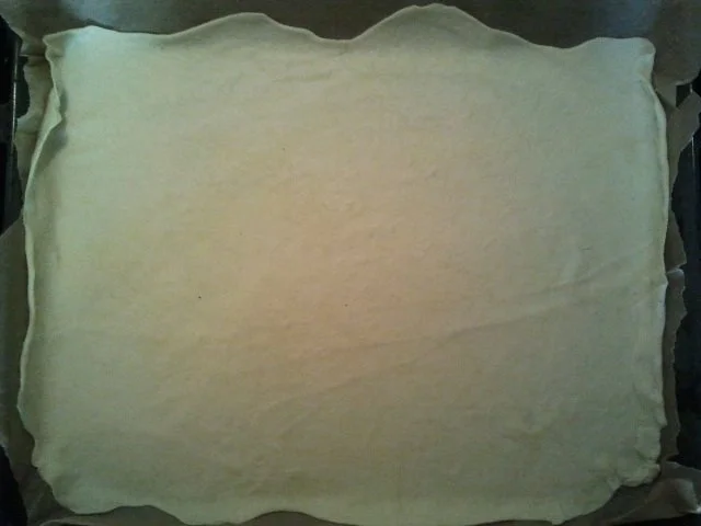 Rezept: Grundrezept Pizza - Pizzateig und Tomatensoße Bild Nr. 5 Grundrezept Pizza - Pizzateig und Tomatensoße - Rezept - Bild Nr. 5