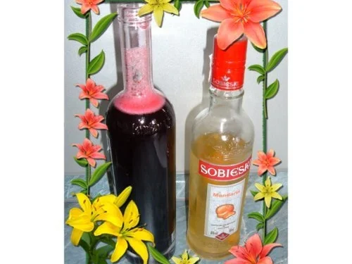 Rezept: Getränke : Holunderbeer...oder auch Fliederbeer genannt )))))) - Saft mit Wodka )))))))) Getränke : Holunderbeer...oder auch Fliederbeer genannt )))))) - Saft mit Wodka )))))))) - Rezept