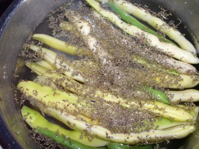 Rezept: Zucchini eingelegt Bild Nr. 3 Zucchini eingelegt - Rezept - Bild Nr. 3