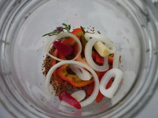 Rezept: Zucchini eingelegt Bild Nr. 4 Zucchini eingelegt - Rezept - Bild Nr. 4