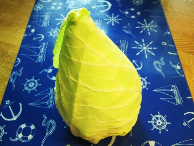 Rezept: Spitzkohl-Röllchen ... Bild Nr. 2 Spitzkohl-Röllchen ... - Rezept - Bild Nr. 2