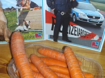 Rezept: Hausapotheke / Natur: Möhrensaft als Medezin Hausapotheke / Natur: Möhrensaft als Medezin - Rezept