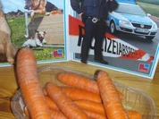 Rezept: Hausapotheke / Natur: Möhrensaft als Medezin Hausapotheke / Natur: Möhrensaft als Medezin - Rezept