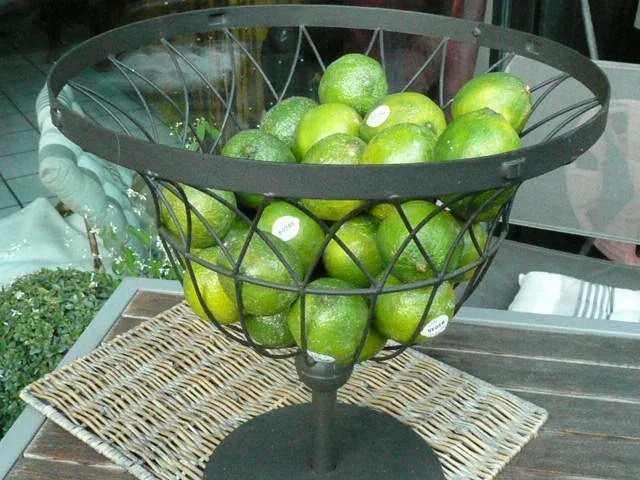 Rezept: GETRÄNKE /LIMETTEN-SIRUP Bild Nr. 2 GETRÄNKE /LIMETTEN-SIRUP - Rezept - Bild Nr. 2