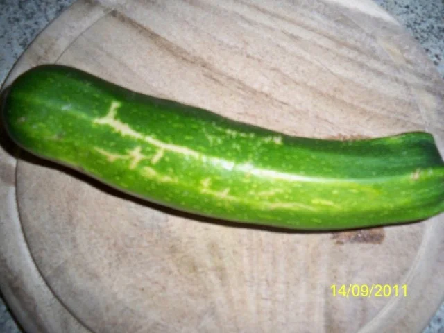 zucchini und schweinchen in einem boot - Rezept - Bild Nr. 2