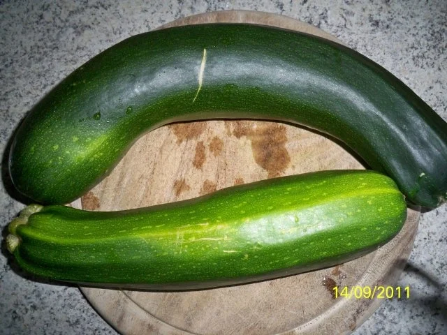 teigummantelte kürbisblütenfrucht aus dem heißen ölbad - Rezept - Bild Nr. 2