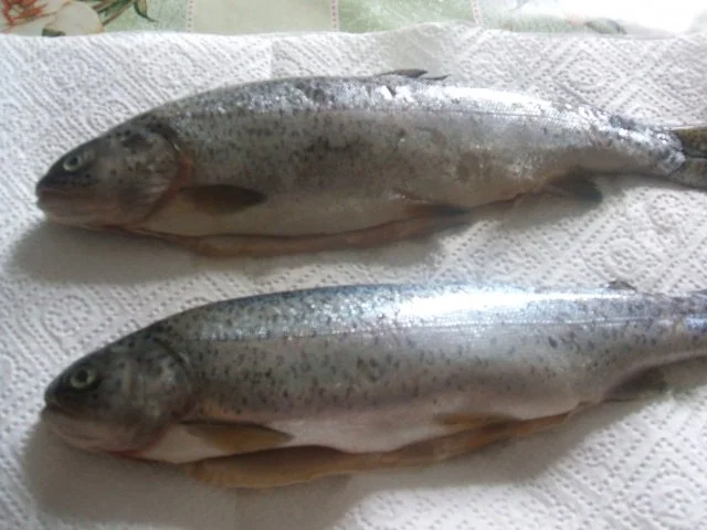 Rezept: Forelle in Butter gebraten Salzkartoffeln und Bild Nr. 2 Forelle in Butter gebraten Salzkartoffeln und - Rezept - Bild Nr. 2