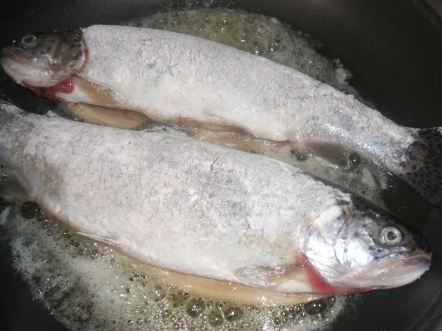 Rezept: Forelle in Butter gebraten Salzkartoffeln und Bild Nr. 5 Forelle in Butter gebraten Salzkartoffeln und - Rezept - Bild Nr. 5