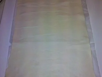 Rezept: Fleisch: Asiatischer Rinderbraten im Teigmantel Bild Nr. 6 Fleisch: Asiatischer Rinderbraten im Teigmantel - Rezept - Bild Nr. 6