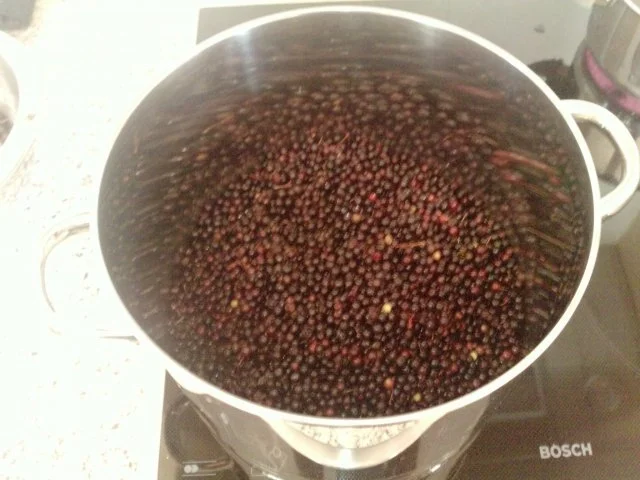 Rezept: Holunderlikör Bild Nr. 2 Holunderlikör - Rezept - Bild Nr. 2