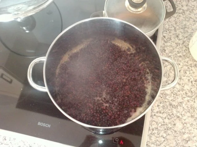 Rezept: Holunderlikör Bild Nr. 3 Holunderlikör - Rezept - Bild Nr. 3