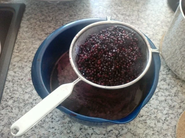 Rezept: Holunderlikör Bild Nr. 4 Holunderlikör - Rezept - Bild Nr. 4