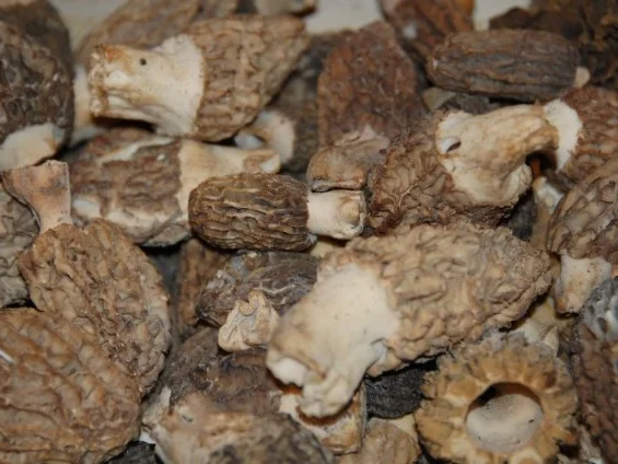 Rezept: FRÜHLINGSRISOTTO MIT MORCHELN UND GRÜNEN SPARGELN Bild Nr. 2 FRÜHLINGSRISOTTO MIT MORCHELN UND GRÜNEN SPARGELN - Rezept - Bild Nr. 2