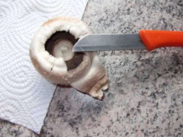 Panierte Champignons Dieter´s Art - Rezept - Bild Nr. 3