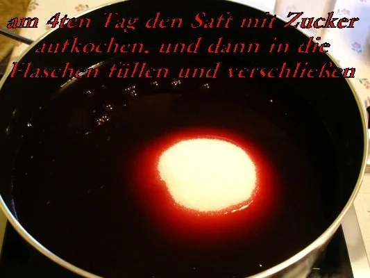 Rezept: Schlehen-Sirup Bild Nr. 3 Schlehen-Sirup - Rezept - Bild Nr. 3