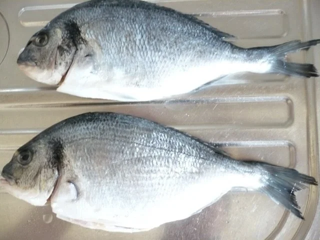 Dorade mit Kräuterpaste auf Zucchini-Tomatengemüse - Rezept - Bild Nr. 2