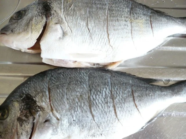 Dorade mit Kräuterpaste auf Zucchini-Tomatengemüse - Rezept - Bild Nr. 4