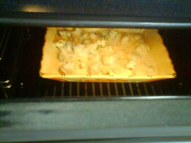 Rezept: Gratinierter Broccoli mit Schinkennudeln Bild Nr. 10 Gratinierter Broccoli mit Schinkennudeln - Rezept - Bild Nr. 10