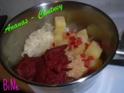 BiNe` S CHUTNEY - Rezept