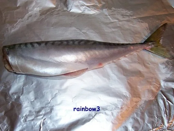 Kochen: Makrelen aus dem Backofen mit Sahne-Meerrettich-Sauce - Rezept - Bild Nr. 3