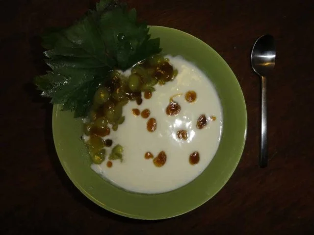 Rezept: Trauben-Joghurt Trauben-Joghurt - Rezept